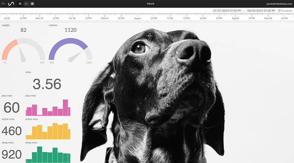 IoT Dashboard of Pet Health Data